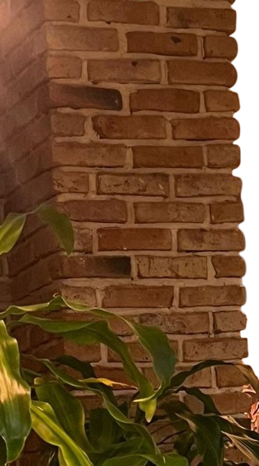 Mud Bricks